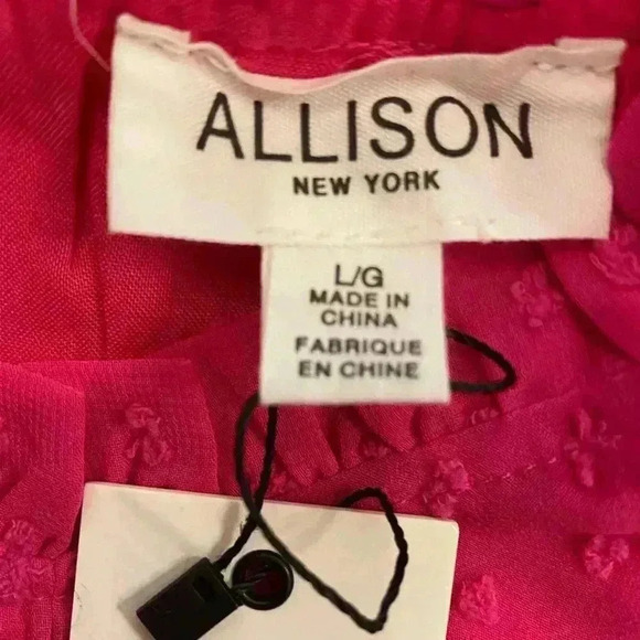 Allison Women's Mini Dress Hot Pink Swiss dot long sleeve ruffles sheer large - Picture 4 of 16